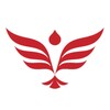 电视投屏